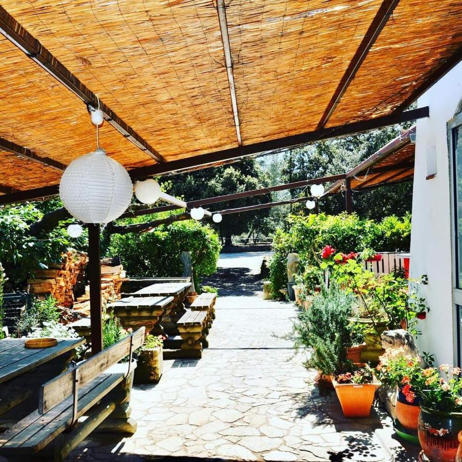 Domaine Du Berange Hotel Saint-Geniès-des-Mourgues Kültér fotó